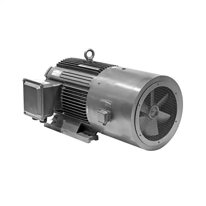 long shaft electric motor